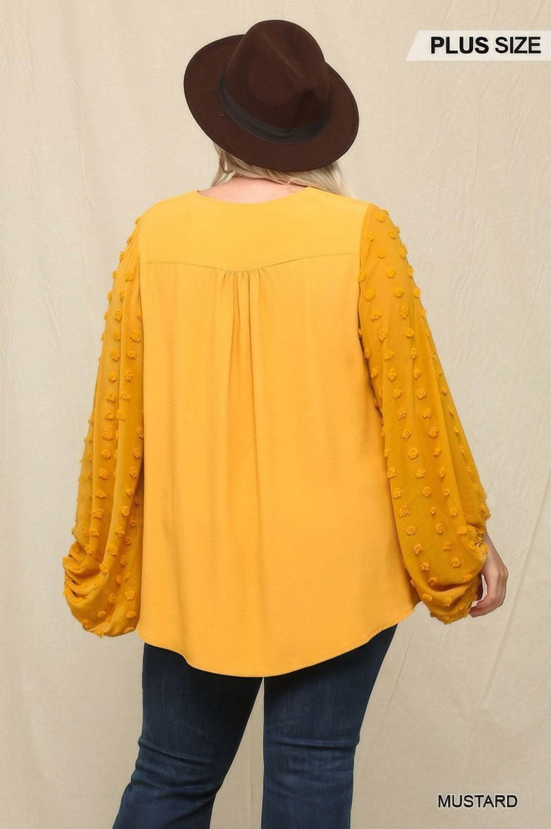 Woven And Textured Chiffon Top With Voluminous Sheer Sleeves - Fit Me For 20